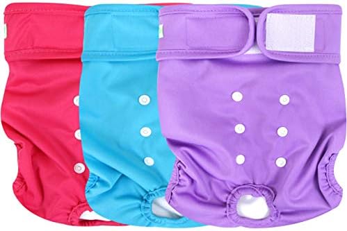 dog breeds with large ears that stand up