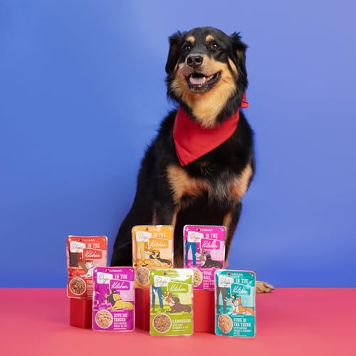 WERUVA DOGS IN THE KITCHEN, THE DOUBLE DIP WITH BEEF & WILD-CAUGHT SALMON AU JUS DOG FOOD, 2.8OZ POUCH (PACK OF 12), RED
