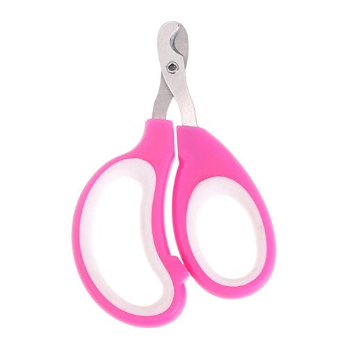 Pet Nail Clipper Scissors Pet Dog Cat Nail Toe Claw Clippers Scissors Trimmer Grooming Tools for Animals Pet Supplies