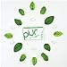 PUR Gum | Aspartame Free Chewing Gum | 100% Xylitol | Natural Spearmint Flavored Gum, 9 Pieces (Pack of 12)