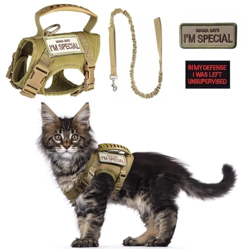 SEZDEKI Tactical Cat Harness