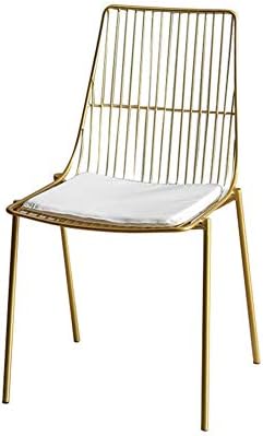 Chair Nordic new hollow wire mesh chair Leisure coffee chair back chair designer chair wrought iron creative dining chair (Color : Gold)