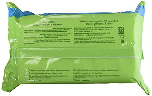 Seventh Generation Free and Clear Wipes Unscented - 64 Wipes