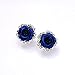 Keyzone 1 Pair Stylish Lady Rose Flower Zinc Alloy Pierced Ear Stud Earrings Blue