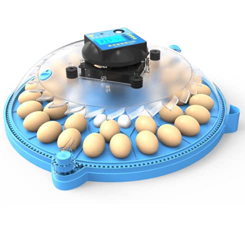 ALWUDI 48 Eier MotorbrüTer HüHner, 360-Grad-Ansicht Mini voll Eier Automatischer Brutapparat Brutmaschine für Hühner…
