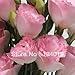Eustoma Seeds, Lisianthus, Multicolor Into, Autumn New Species, 100 Pcs / Bag