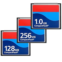 ZhongSir Two Pack 1GB Extreme Compact Flash Memory