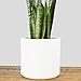 PEACH & PEBBLE Indoor Plant Pot (10.5