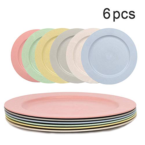 Shopwithgreen 6 pc 10 Inch Dinner Plates - Lightweight Unbreakable Wheat Straw Plates - Dishwasher and Microwave Safe