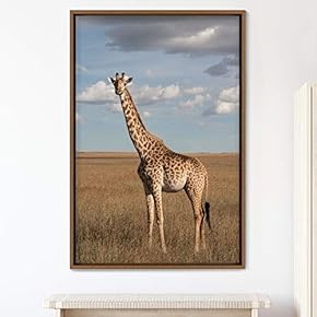 signwin Framed Canvas Wall Art Giraffe Animals Expressive...