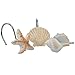 baotongle 12 PCS Seashell Shower Curtain Hooks Bathroom Beach Shell Decor (Light Brown)