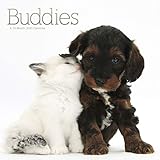 Buddies 2020 Wall Calendar by