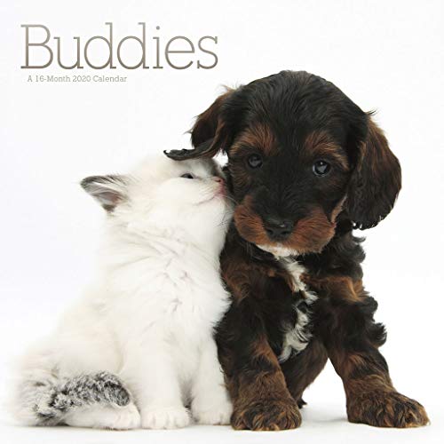 Buddies 2020 Wall Calendar by