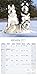 Siberian Husky Calendar 2017 - Dog Breed Calendars - 2016 - 2017 wall calendars - 16 Month by Avonside