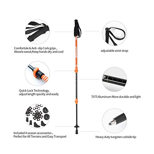 BISINNA Hiking Trekking Poles-2 Pack Adjustable Ultra Strong & Lightweight Aluminum 7075 Collapsible Hiking/Walking Sticks with EVA Grips, Quick Locks, 4 Season/All Terrain Accessories and Carry Bag