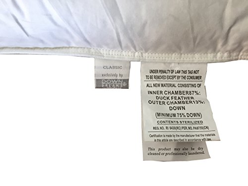 Manchester Mills Down Dreams Queen Pillow Set 2 Pillows Import