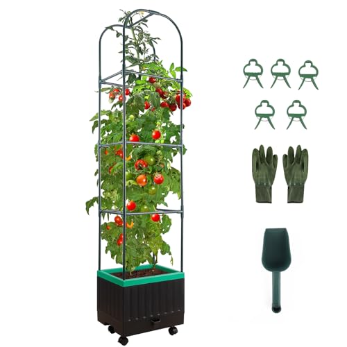 raised garden bed with trellis