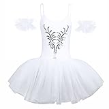 iiniim Women Adult Swan Lake Costumes Ballet Dress Leotard Tutu Dance Dress with Arm Band