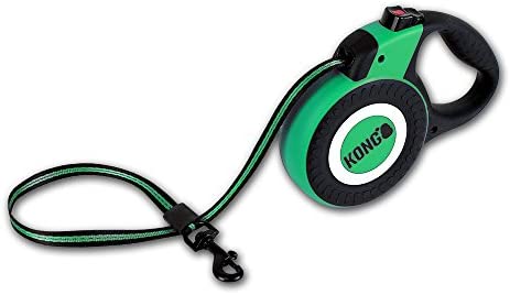 kong leash retractable