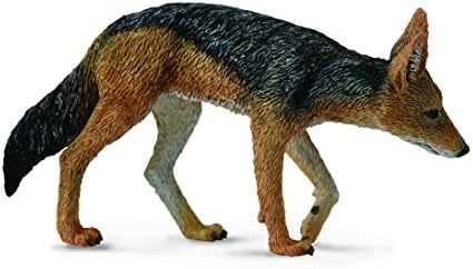 Download Amazon Com Collecta Black Backed Jackal Animal Toy Toys Games For Android Free Wallpaper Amazon Com Collecta Black Backed Jackal Animal Toy Toys Games For iPhone