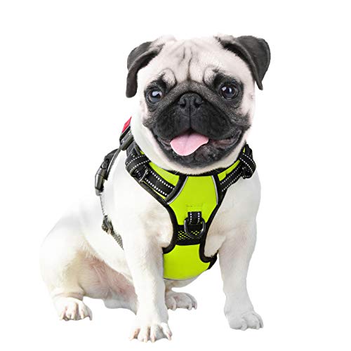 phoepet dog harness