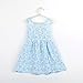 Gotd Baby Girls Sleeveless Sundress Flower Dandelion One Piece Bowknot Tutu Dress (2-3Y, Blue )