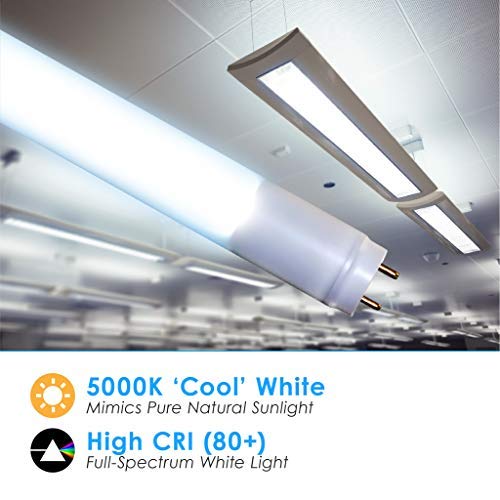 image for QUEST MANUFACTURING (30 PACK) T8, T10, T12, 4FT LED Frosted Lens Glass