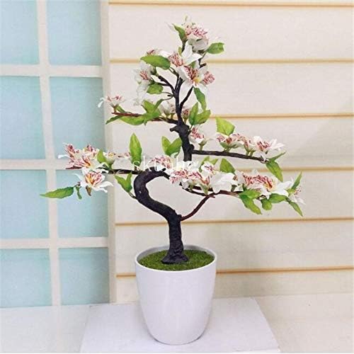 ELENA 4: Bonsai Tree Japanese Sakura Bonsai,Bonsai Flower Cherry Blossoms for Home & Garden 2pcs