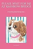 Please Wait for Me At Rainbow Bridge: A True Story About The Dog I Love by Jim Burris