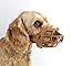 BASKERVILLE ULTRA MUZZLE - Patented Humane Design, Breathable, Dog can Pant and Drink, Adjustable, Padded, Dog Training Muzzle for Small Dogs, Prevents Biting, Wildlife Scavenging (Size 1, Tan)