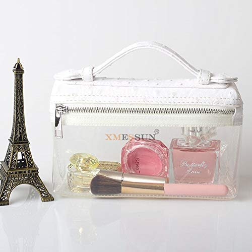 transparent box bag
