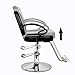 CooFel Hydraulic Barber Chair Classic Styling Heavy Duty Hydraulic Pump Barber Chair Beauty Spa Styling Chair for Hair Stylist Women Men