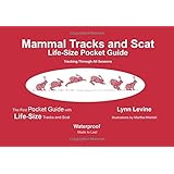 Mammal Tracks and Scat: Life-Size Pocket Guide