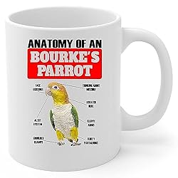 Lovesout Funny Standing Caique Parrot Anatomy Chart
