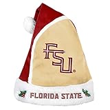 2015 NCAA College Team Logo Holiday Plush Basic Santa Hat - Pick Team