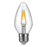 LIGHTSTORY E26 LED Decorative Bulb F15, 2700K Non-Dimmable LED Filament Bulb (3W=40W)