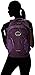 Osprey Packs Perigee Daypack, Mariposa Purple