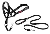 Halti Headcollar and Training Lead Combination