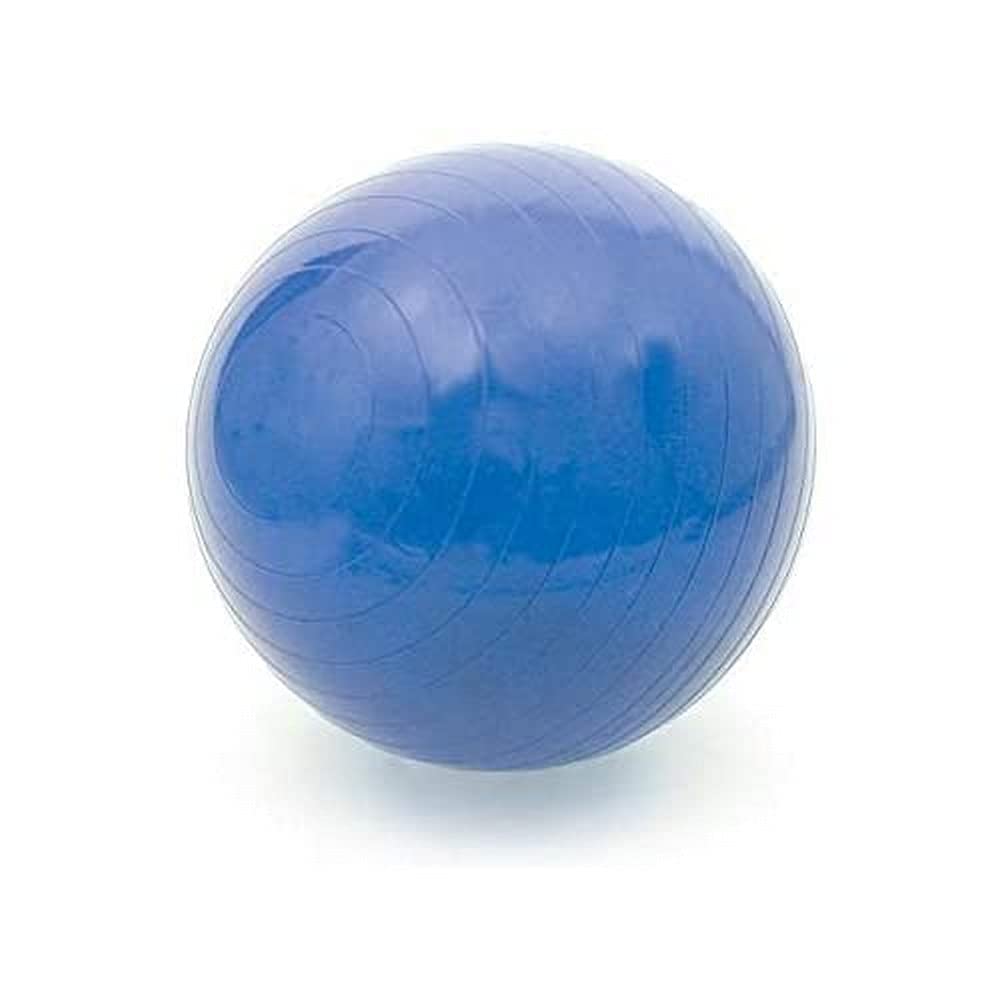 Antar ATCP ABS Rehabilitation Ball 750 g, 55 cm Diameter