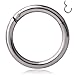 Ruifan 1PC Stainless Steel Hinged Seamless Segment Hoop Septum Clicker Ring Lip Helix Tragus Cartilage Earrings Nose Rings Pirecing 16g 10mm Steel