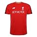 New Balance Men's Liverpool FC 2018-19 Shortsleeve Training Jersey