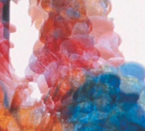 Dungen - Single - Zortam Music