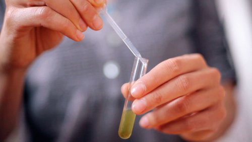 4 Ravensburger+Science+Crime+Investigation+Activity