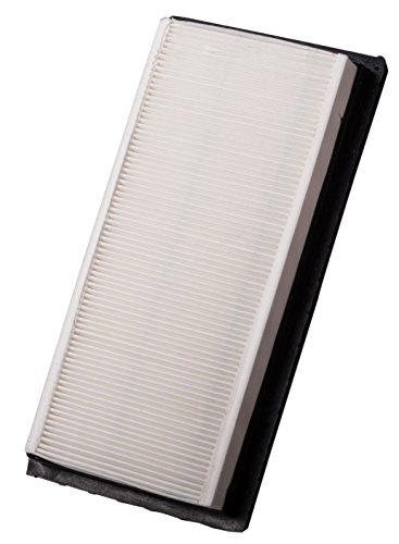 PG Air Filter PA6202| Fits 2012-18 Nissan March, 2012-19 Versa, 2014-18 Note, 2014-19 Versa Note, 20 - //medicalbooks.filipinodoctors.org