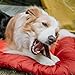 Nature Gnaws Beef Gullet Chews for Large Dogs 9-10