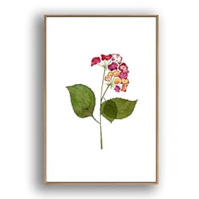 Framed Canvas Wall Art for Living Room, Bedroom Leaves Canvas Prints for Modern Home Decoration Ready to Hang - 16"x24" inches