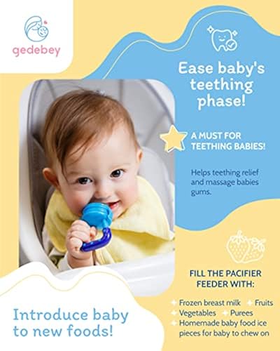 Baby Fruit Feeder Pacifier Pack Baby Food Feeder Baby