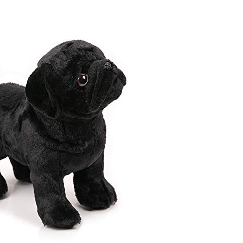 black pug teddy