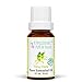 Ylang Ylang Essential Oil 100% Pure (Certified Organic) for Professional Aromatherapy - Therapeutic Grade - Works well with Organic Aroma Diffusers - 10 ml bottle