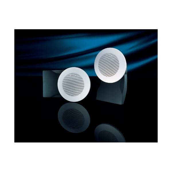 Bose 131 FlushMounted Marine Speakers MasterBasser